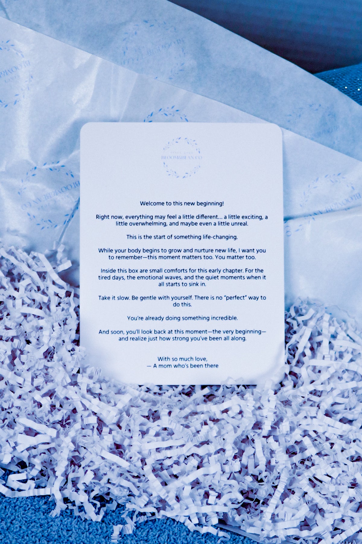 "Newly Pregnant" Gift Package