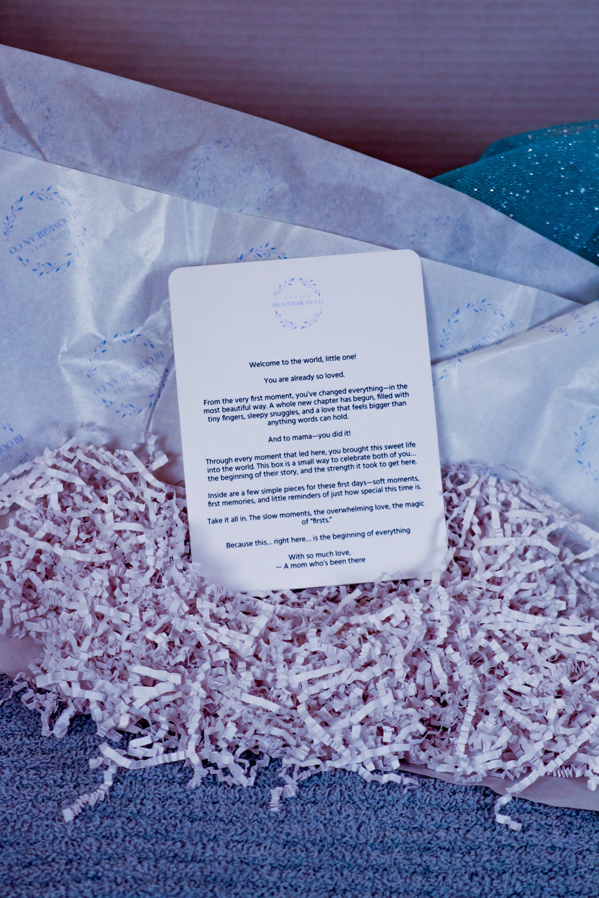 "Welcome to the World" Newborn Gift Package